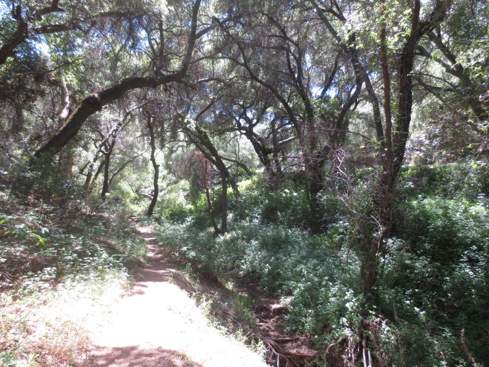 San-Juan-Loop-Trail-IMG_5364