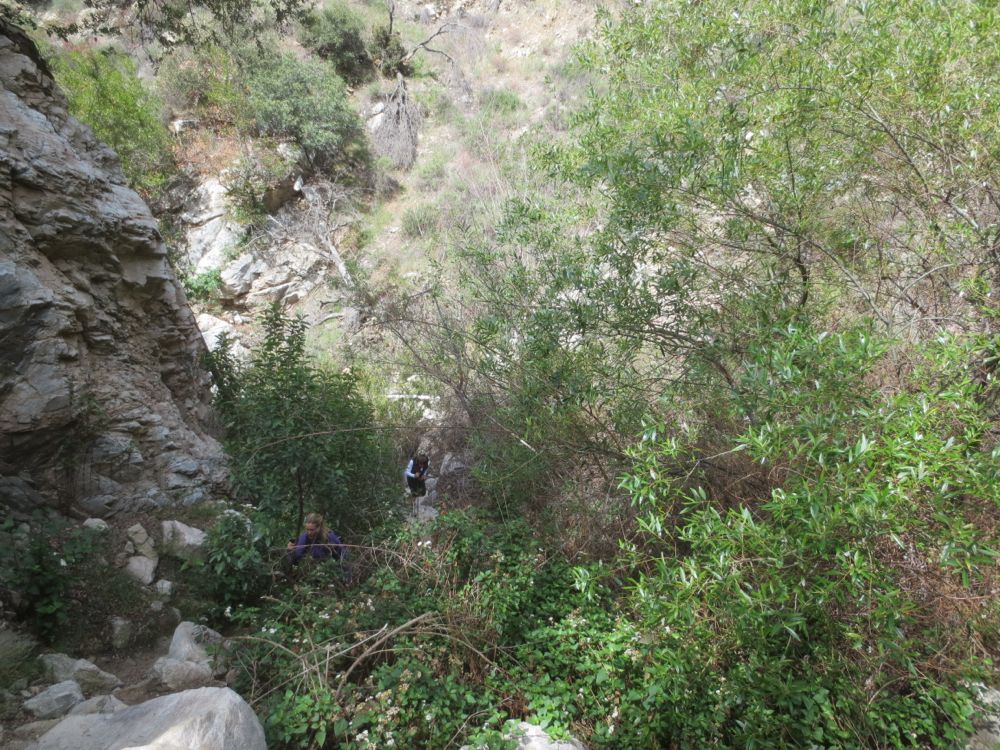 Rubio Canyon Waterfalls Hike IMG 5242