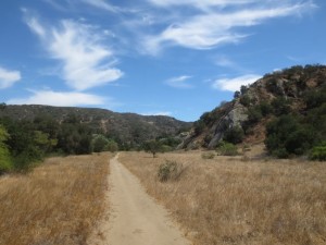 Laurel Canyon Loop Trail - The Hikers Way