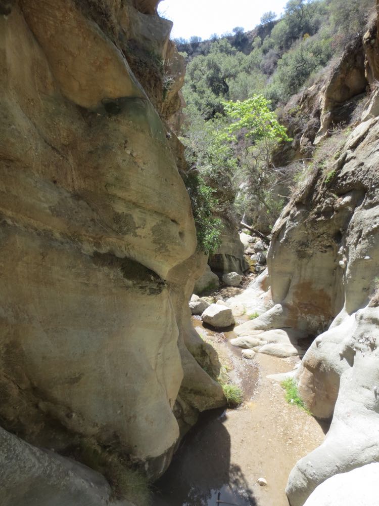 Santa Ynez Canyon Trail 06