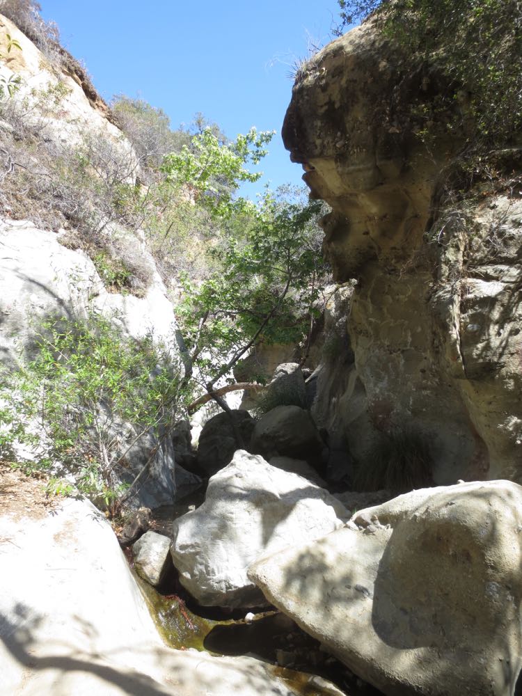 Santa Ynez Canyon Trail 19