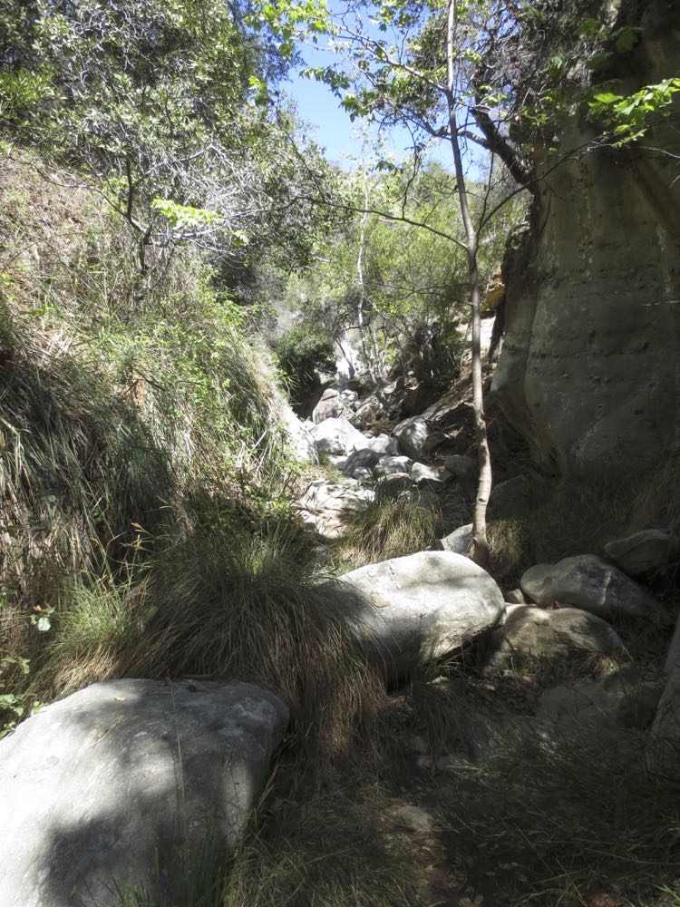 Santa Ynez Canyon Trail 20