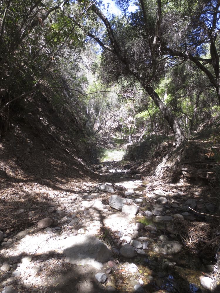 Santa Ynez Canyon Trail 22