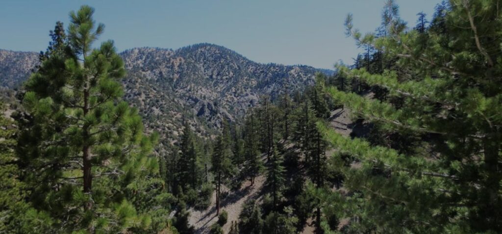 Cooper Canyon Falls Hike - The Hikers Way