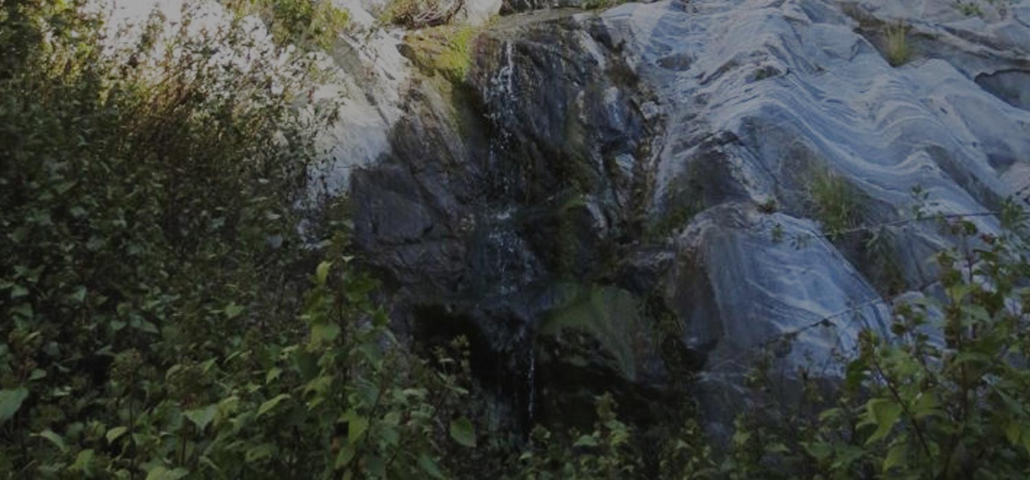 Rubio Canyon Waterfalls Hike